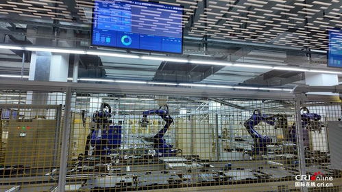 青春华章 走进天津天开园，感受新质潮涌中的摄影扩印服务